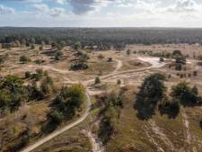 Militaire oefeningen op Beekhuizerzand in Harderwijk onder de loep: ‘Helikopters geven meer verstoring dan wandelaars’