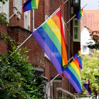 Ondanks vernielingen hangt deze straat elk jaar vol regenboog-vlaggen