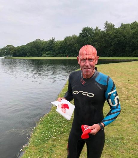 Agressieve knobbelzwaan gevangen en uitgezet: ‘Dit nam extreme vormen aan’