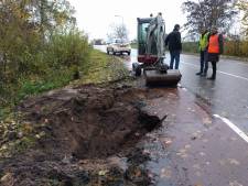 Bever zorgt voor problemen in dijk bij Ravenstein