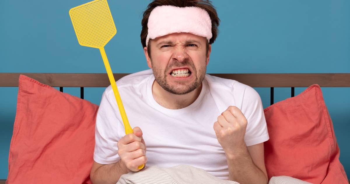 È vero che le zanzare come il tuo gruppo sanguigno sono migliori?  † Dalì