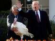 Trump redt kalkoenen ‘Peas’ en ‘Carrots’ van Thanksgiving-feestdis