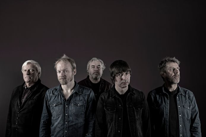 The Analogues nemen afscheid van publiek met extra concert | Show | AD.nl