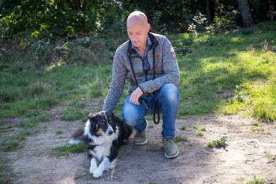 Discussie over hondenbelasting: afschaffen kan alleen als er wordt bezuinigd