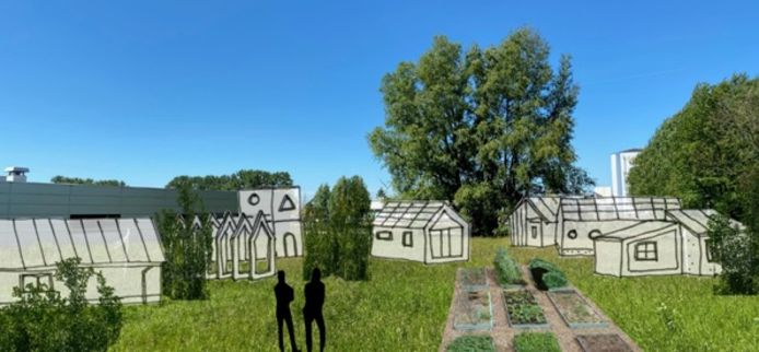 Een indruk van hoe het nieuwe wijkje met de tiny houses er uit moet komen te zien.