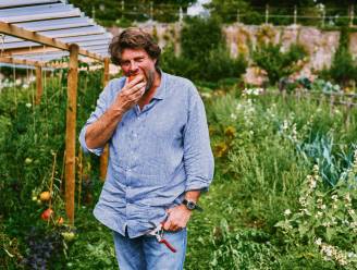 Wim Lybaert geeft vijf tips om te starten met een moestuin: "Het is verbazingwekkend hoeveel je kan kweken op een klein lapje grond”