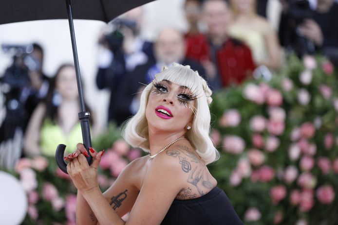 Lady Gaga is in het ziekenhuis goed gecheckt nadat ze donderdag tijdens haar concert in Las Vegas een lelijke smak had gemaakt. "Wanneer ze röntgenfoto's moeten maken van je hele lichaam", schreef de zangeres op Instagram bij een kiekje van haar hand die gebaart dat alles in orde is.