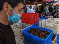 L'OMS est persuadée que le marché de Wuhan a “joué un rôle”