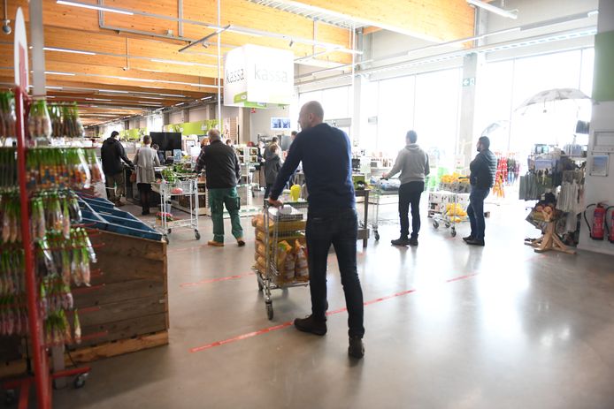 Bij momenten ontstonden er wachtrijen aan de kassa’s in tuincentrum AVEVE in Wilsele.