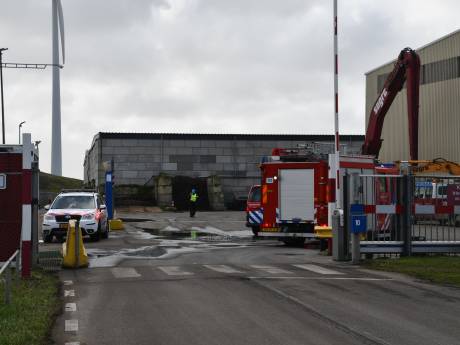 Brand in loods met pallets in Nieuwdorp