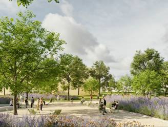 Van een nieuw ontmoetingsplein tot 30.000 vierkante meter extra groen: Stad Hasselt investeert 2,2 miljoen euro in uitbreiding van Kapermolenpark