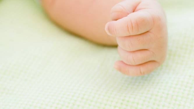 L'état civil suédois retoque le prénom “Vladimir Poutine”