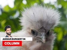 De barbecuelucht hielp niet: misschien lag hun vriendin wel op het rooster 
