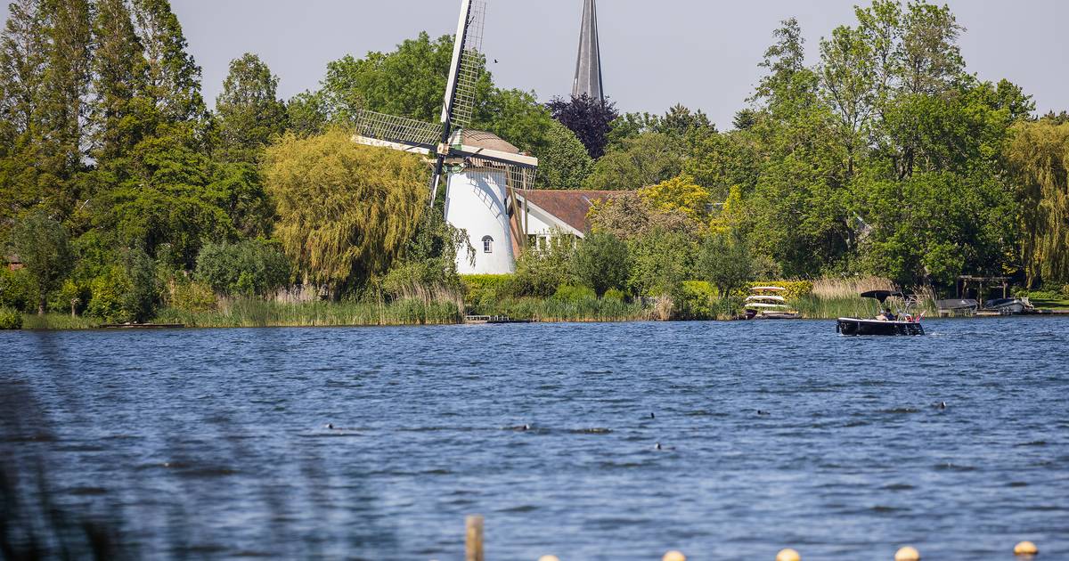 Negatief zwemadvies voor strandjes Westmaas en Mijnsheerenland | Hoeksche Waard - AD