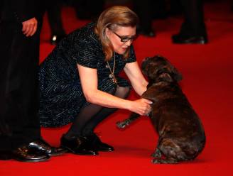 Controverse rond hondje Carrie Fisher, familie is radeloos: "Stop alsjeblieft met het verpesten van haar herinnering"