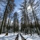 Eerste sneeuw valt in West-Vlaanderen, tot 10 centimeter sneeuw verwacht in de Ardennen