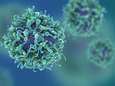 Au moins 90% de la population mondiale est immunisée contre le coronavirus