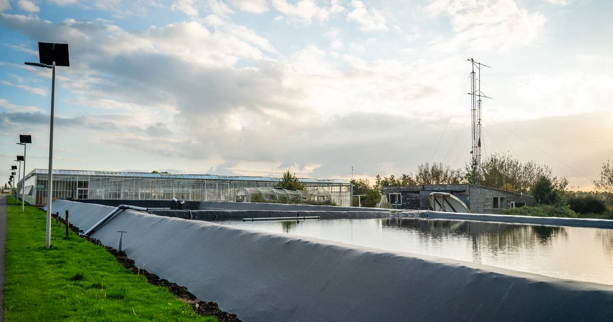 Buurman woont in Duitsland en ziet waterbassin niet, toch geeft hoogste rechter bezwaarmaker deels g