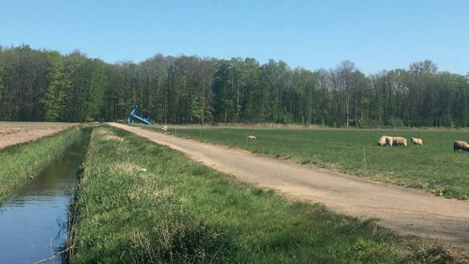 Plan zonnepark bij rijksmonument Waterloopbos in Marknesse aangepast na kritiek Natuurmonumenten