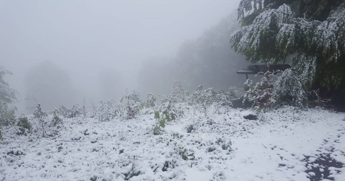 Begin Mei En In Limburg Ligt Er Sneeuw Binnenland Ad Nl
