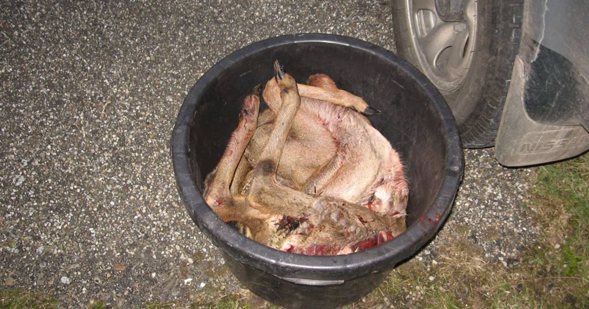 Staatsbosbeheer pleit voor verkeersmaatregelen in Dijkwater