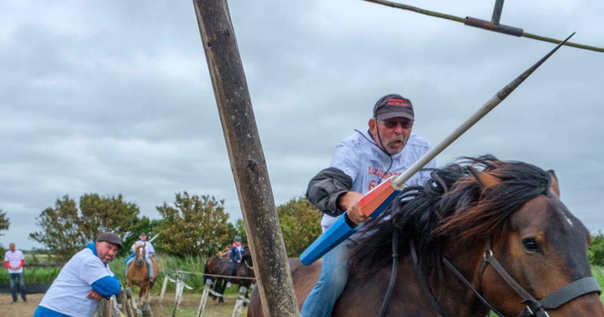 Dertig procent kans op een ring | Walcheren