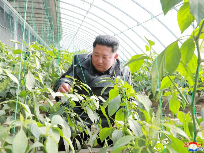 Noord-Koreaanse leider Kim Jong-un roept op tot meer voedselproductie