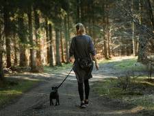Hier in Doetinchem mag je hond loslopen
