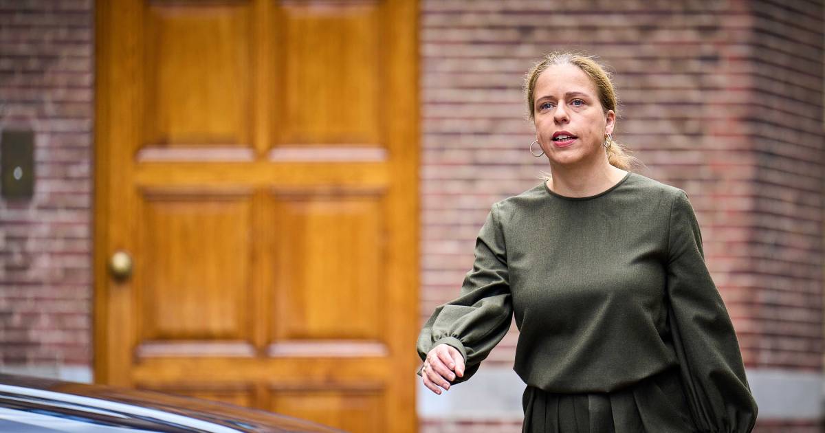 Minister zélf censureerde advies over minder vlees eten bij overheidscampagne: ‘Beschamend’