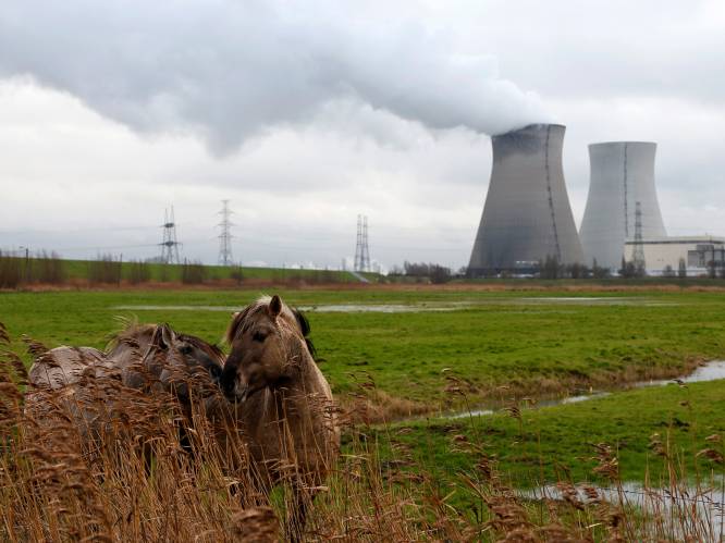 "Scheurtjes in Belgische reactoren al ontdekt tijdens bouw"