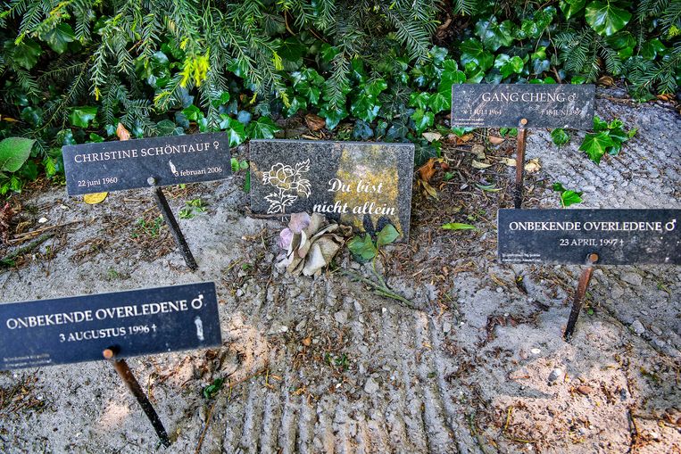 Op de begraafplaats St. Barbara in Amsterdam. Beeld Guus Dubbelman / de Volkskrant