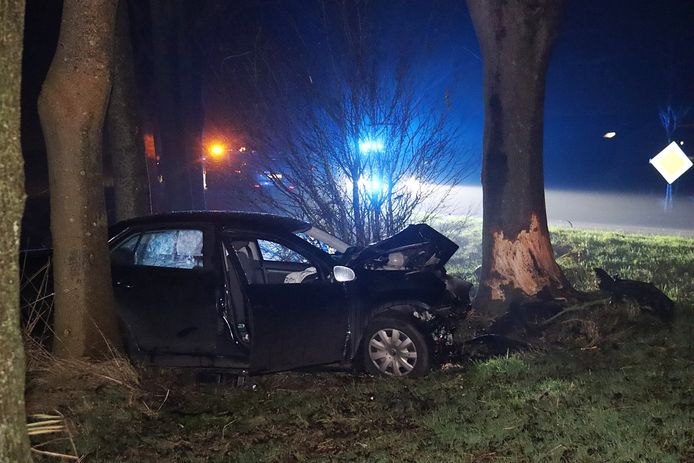 De boom kwam er - net als de auto - niet onbeschadigd vanaf.