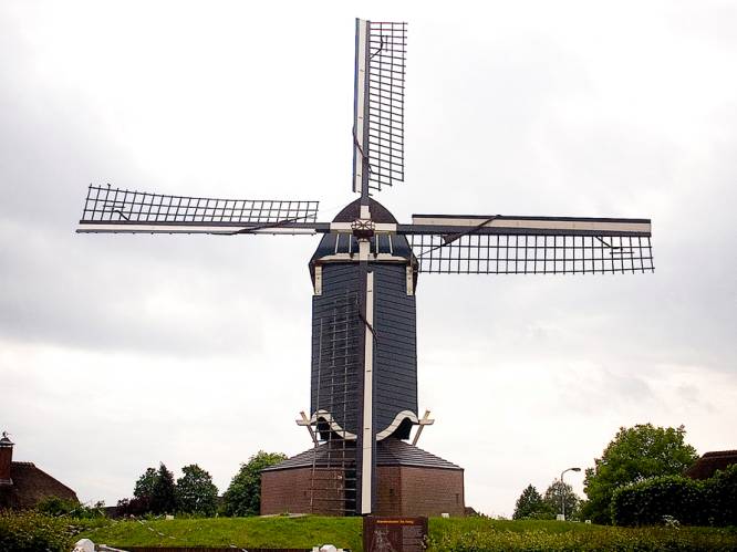 Daar bij die molen: dit is er nabij Nijmegen te doen tijdens de Nationale Molendagen
