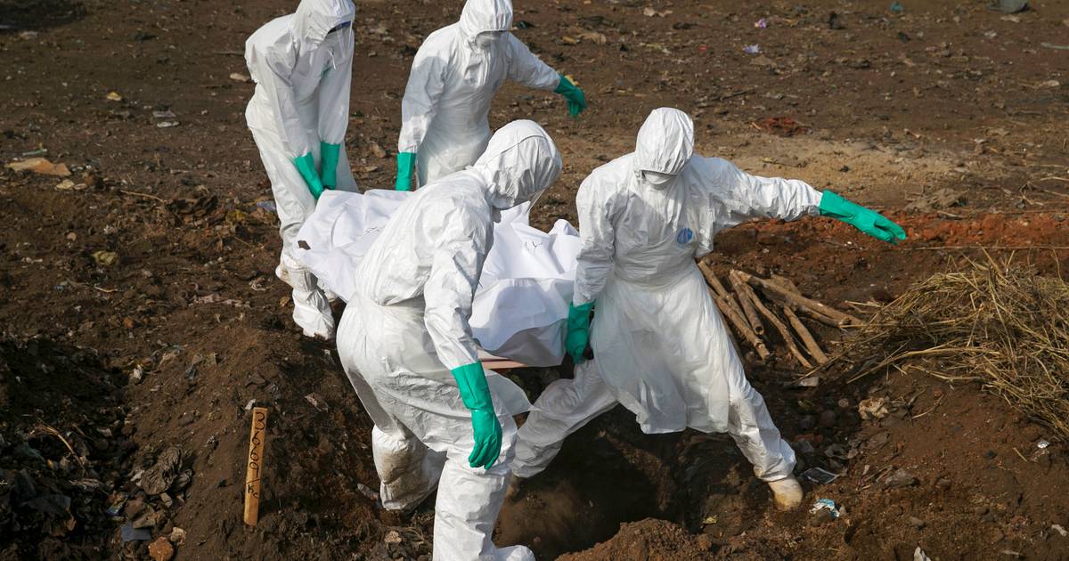 broer en zus stierven er al aan en gevreesd wordt dat ook honderden anderen besmet zijn met aan ebola verwante ziekte nina hln be