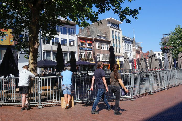 Hekken rond de terrassen op de markt in Eindhoven. Omstanders zeggen dat het wel een dierentuin lijkt.