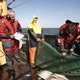 'Nederland doet te weinig tegen illegale visvangst'