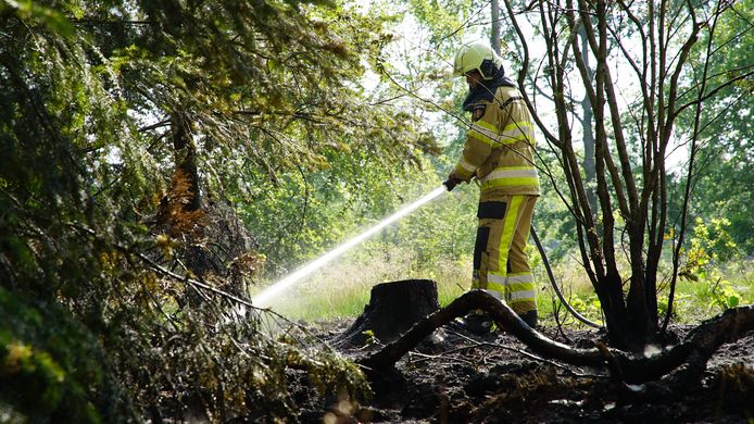 Brandweer Bathmen smoort bosbrand in de kiem in Lettele. Brandweer Deventer komt erbij met extra water.