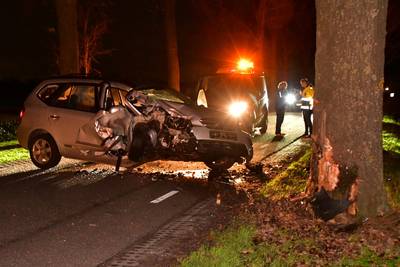 Automobilist ramt boom bij Vredepeel