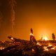 Ontbossing op eiland Borneo vraagt om harde aanpak