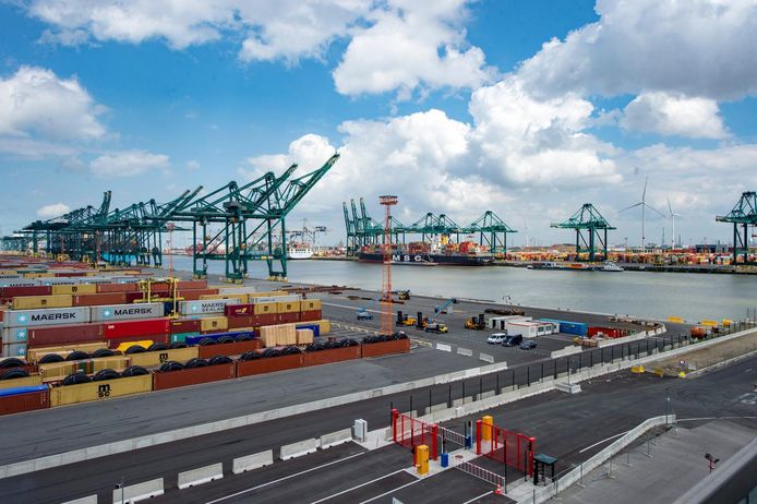De gestolen voertuigen werden in zeecontainers geladen en via de haven van Antwerpen verscheept naar diverse Afrikaanse landen.