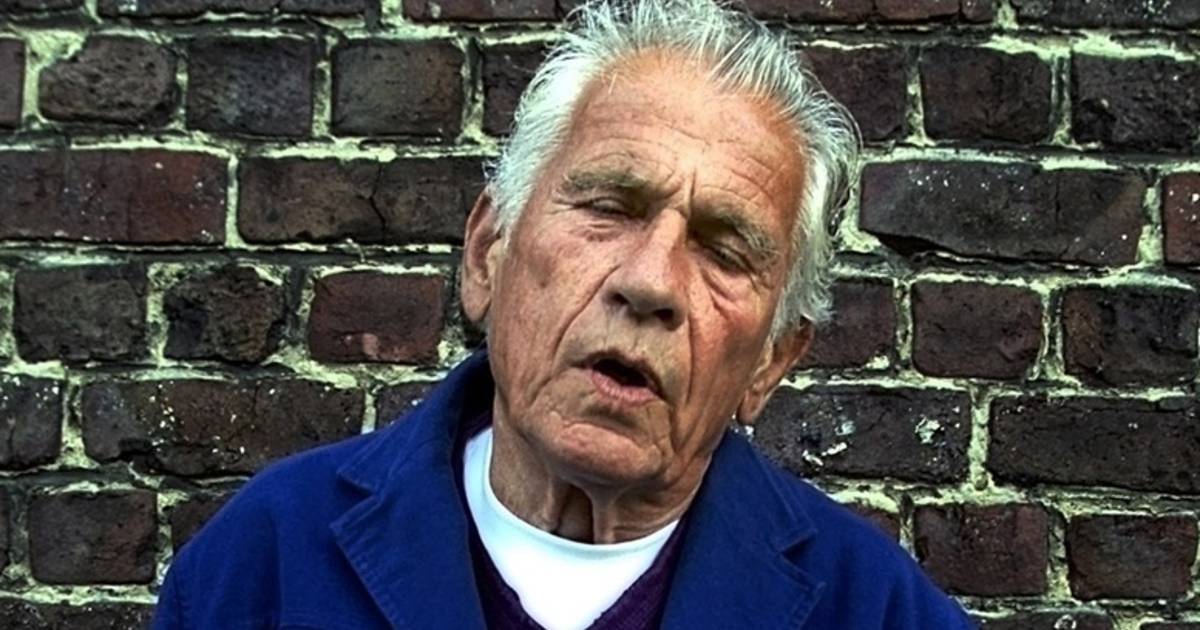 Rechter beperkt citaten in biografie Gerard Reve Kunst