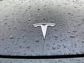 Tesla voert wijzigingen door: beveiligingscamera's voertuigen standaard uit