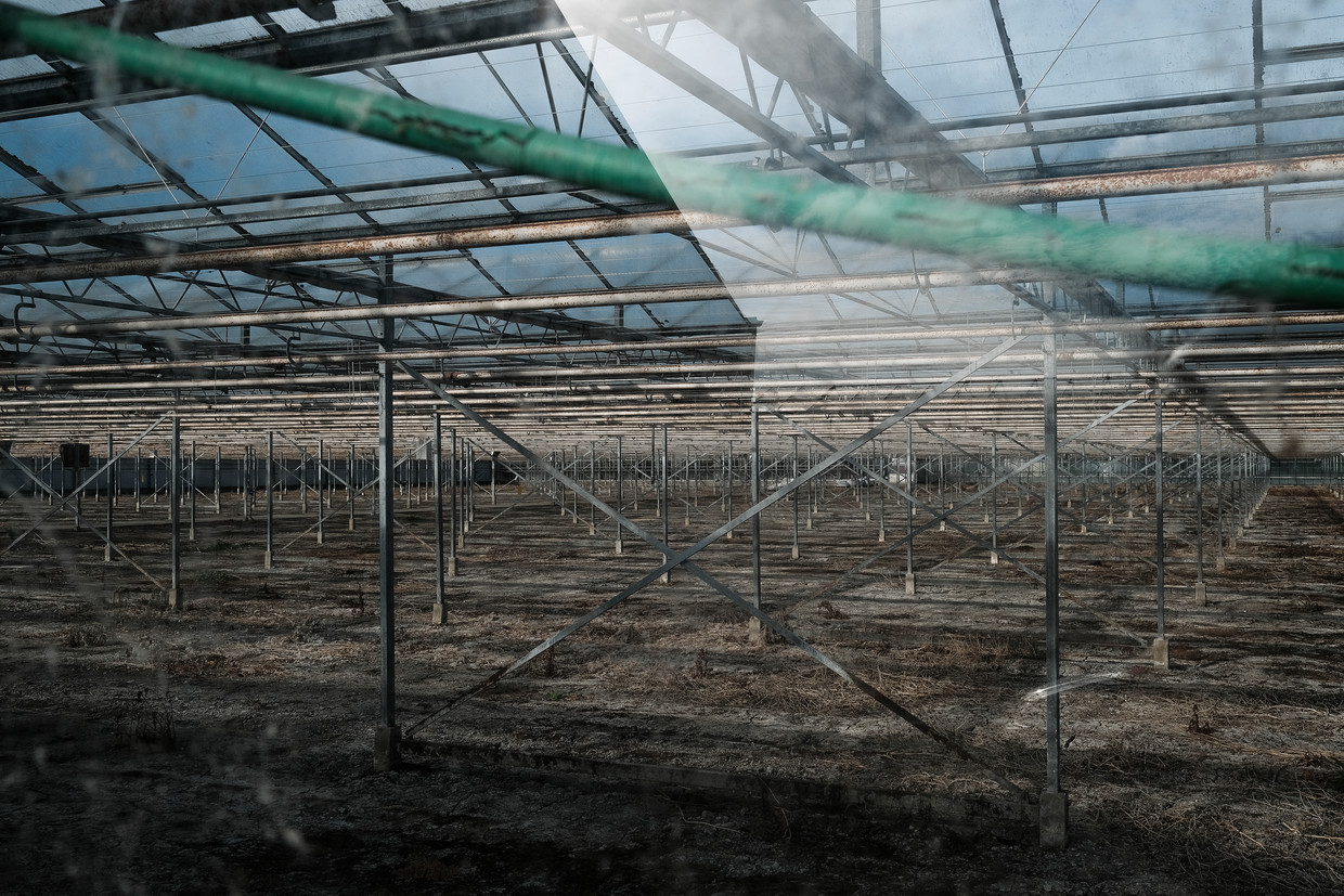 De verlaten kas van de familie Koop, in onbruik geraakt vanwege de hoge gasprijzen.