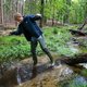 Kurkdroge Veluwe smacht naar nieuwe moerassen