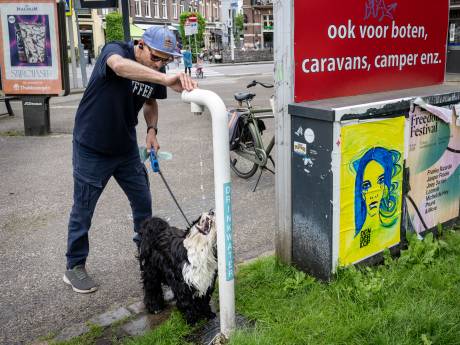 Drinken dorstige honden straks makkelijk water uit de tap in Nijmegen? ‘Ideaal tijdens uitlaten’