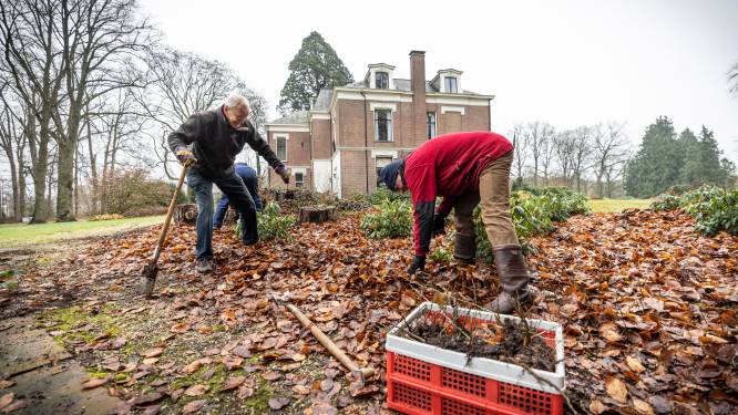 Reddingsactie van jonge bomen; deze zaailingen uit Oldenzaal en Holten zijn binnenkort gratis op te halen