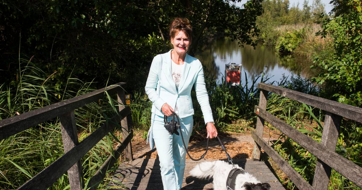 Dit natuurgebied dreigt verboden terrein te worden voor honden: 'Waar moeten wij hem dán nog uitlate