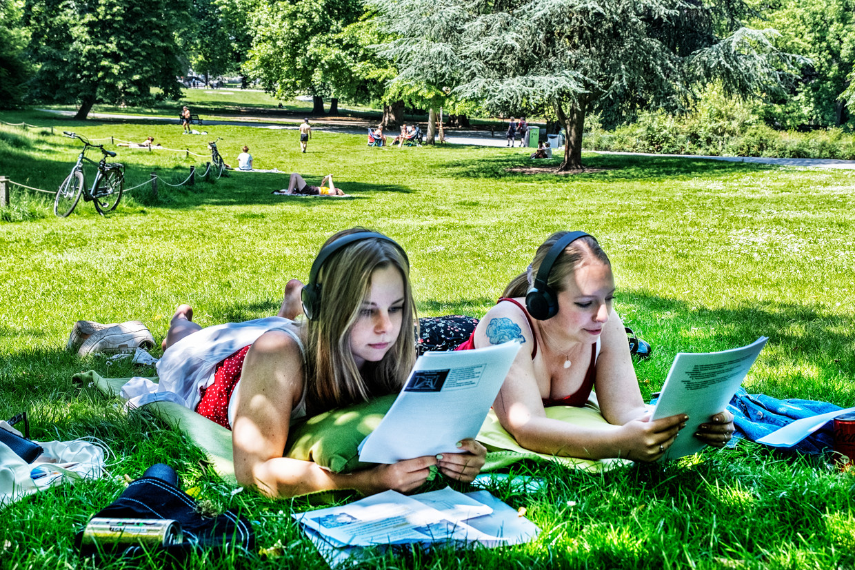 Het mooie weer lokt studenten naar het Antwerpse stadspark om er te studeren, zoals Vicki Hoogsteijns (l.) en Faukje Boone (beiden 21). ‘Zet ik me nu in de zon, dan vallen mijn ogen meteen toe.’ Beeld Tim Dirven