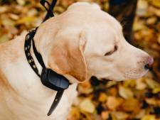Politie redt labrador net op tijd uit hete minibus in Deurne