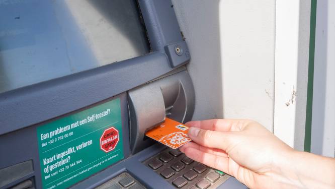 Muilezels sturen hun kat naar zitting: “Beiden bankrekening uitgeleend”